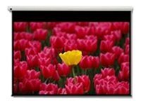 [1694586] OPTOMA screen motor-driven 120inch 16:9