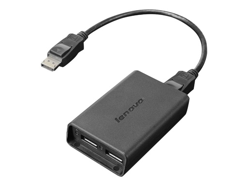 [2490245] LENOVO DP to Dual-DP Adapter
