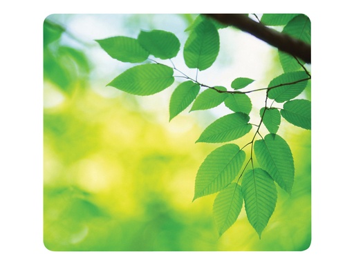 [1832251] FELLOWES Earth Series Mouse pad Blade