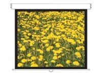 [1978706] OPTOMA DS-3120PMG+ Ecran de projection-