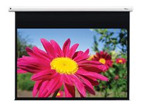 [2871490] OPTOMA Leinwand motorisiert241,3cm 16:10