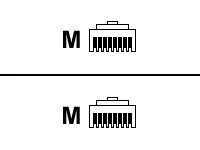 [2096441] MCL-SAMA Cordon de brassage RJ4