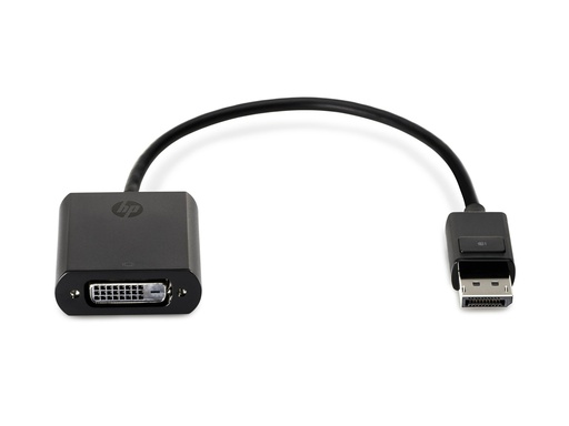 [2112977] HP Display Port to DVI SL Adapter