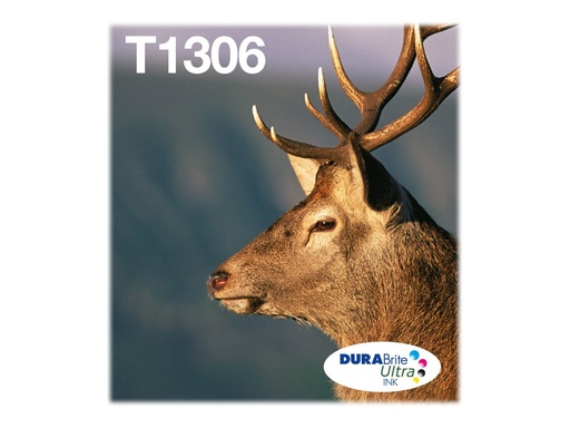 [2434359] EPSON 1LB Multipack 3-colours T1306