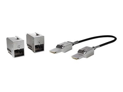 [2558265] CISCO Catalyst 3650 Stack Module