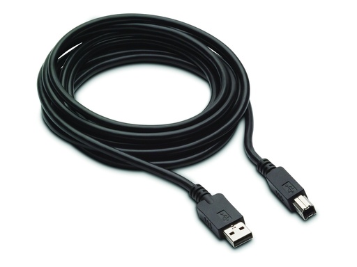 [2578475] HP 300cm DP+USB B-A CABLES