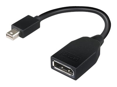 [2589813] LENOVO Mini-DisplayPort to DP Adapter