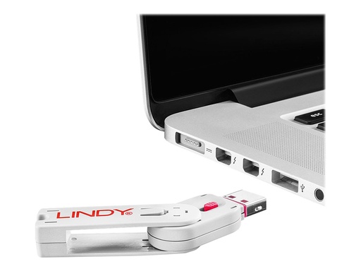[LINACC40450] Clé USB et 4 bloqueurs de ports USB, Rose