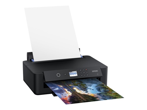 [EPSC11CG43402] EPSON Expression Photo XP-15000