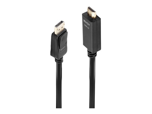 [LINCAB36921] C ble DisplayPort vers HDMI 10.2G, 1m