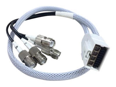 [3018782] CISCO 2 ft Smart Antenna Connector