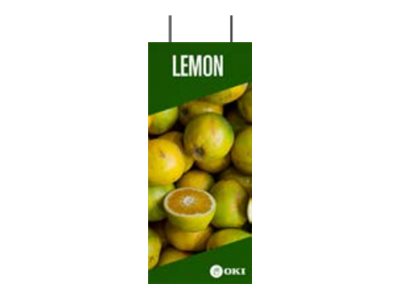 [3033114] OKI FASTDISP A3 ceiling METAL 30x90CM