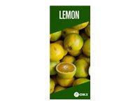 [3033118] OKI FASTDISP A3 W-mounted METAL 30x120CM