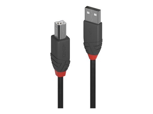 [LINCAB36677] C ble USB 2.0 type A vers B, Anthra Line, 10m