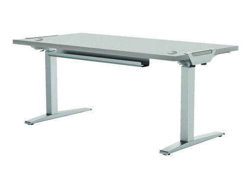 [3679870] FELLOWES LEVADO PLATEAU SEUL GRIS CLAIR