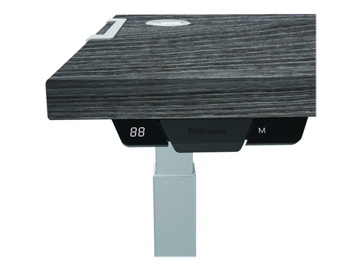[3679875] FELLOWES LEVADO PLATEAU SEUL CHENE NEWPO