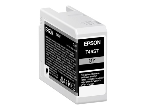 [3856676] EPSON 5LB Singlepack Gray T46S7