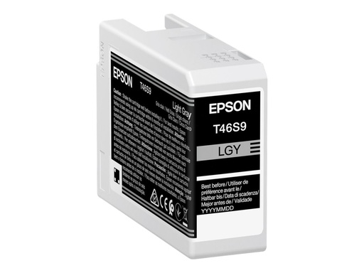 [3856678] EPSON 1LB Singlepack Light Gray T46S9