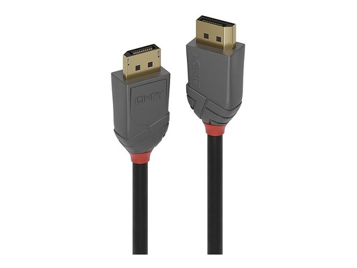 [LINCAB36487] C ble DisplayPort 1.1 Anthra Line, 15m