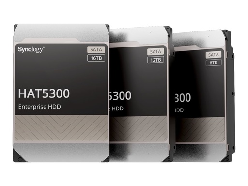 [HD12TO-HAT5300-12T] Disque-dur série T 12To pour NAS Synology