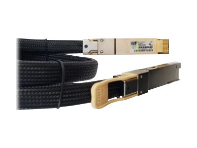 [4122025] CISCO 400G Passive Cable