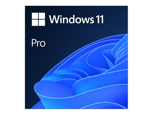 [4476170] MS ESD Win Pro 11 64-bit