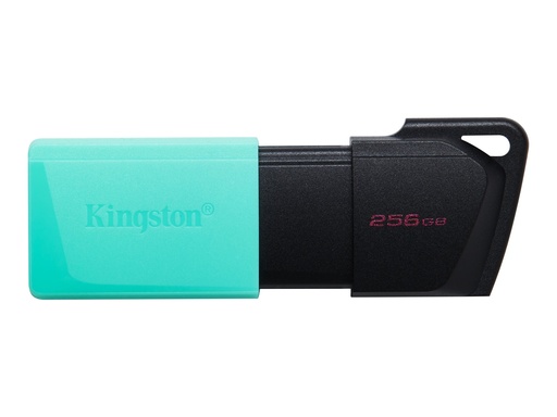 [4579891] KINGSTON 256Go DataTraveler Exodia M