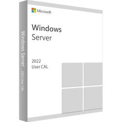 [MI454] Windows Server CAL 2022 OEI 1 user