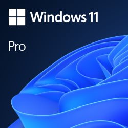 [MI906] Windows 11 Pro OEM 64 bits DVD