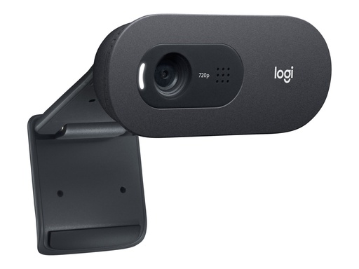 [4068383] LOGI C505e HD Webcam black