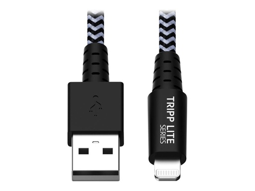 [4569586] EATON TRIPPLITE Heavy-Duty USB-A