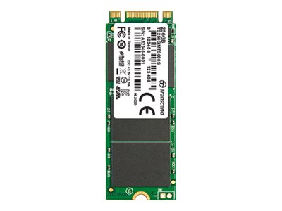 [3928397] TRANSCEND 600S 32Go M.2 2260 SSD SATA3